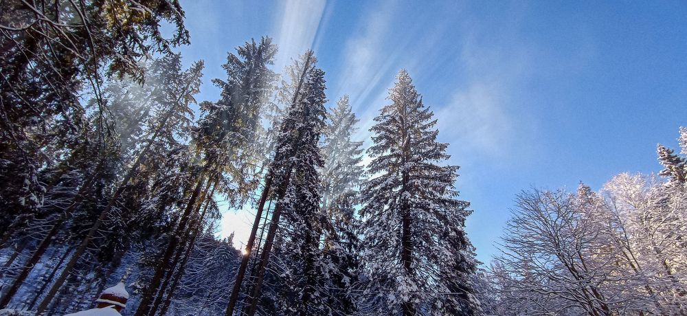 Photograph by Галя Кочубей