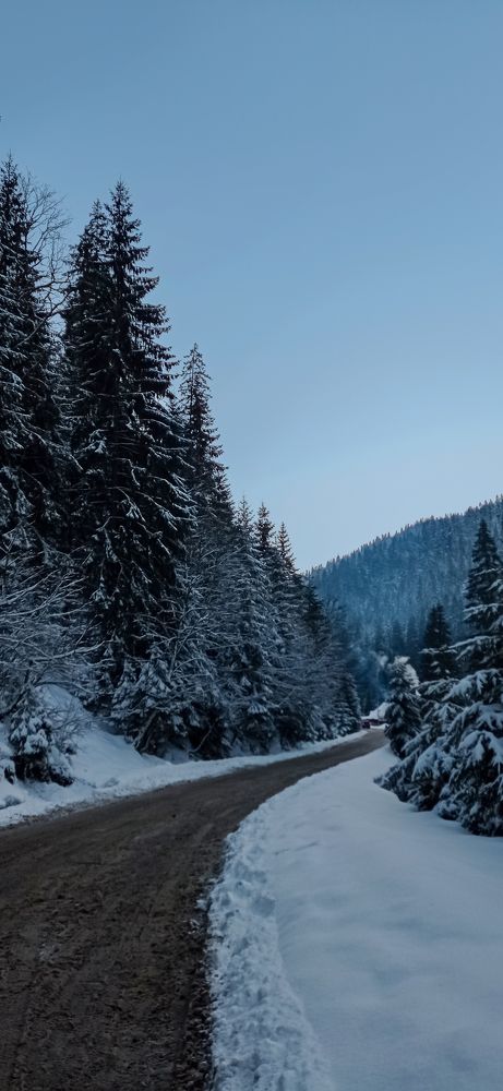 Photograph by Галя Кочубей