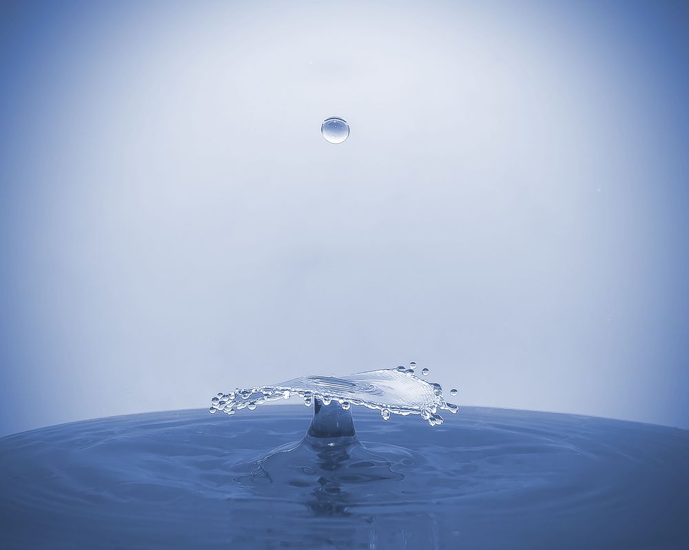 Photograph by Silvia Marcos