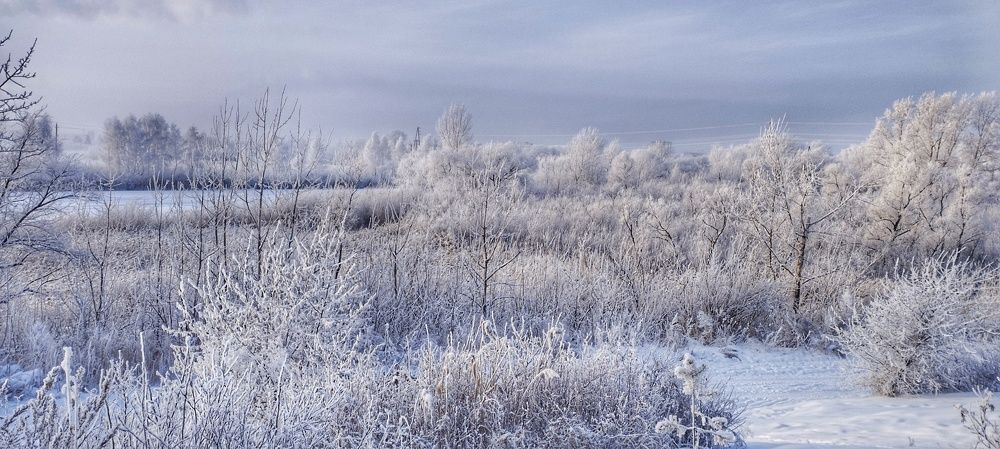 Photograph by Сергей Хранитель