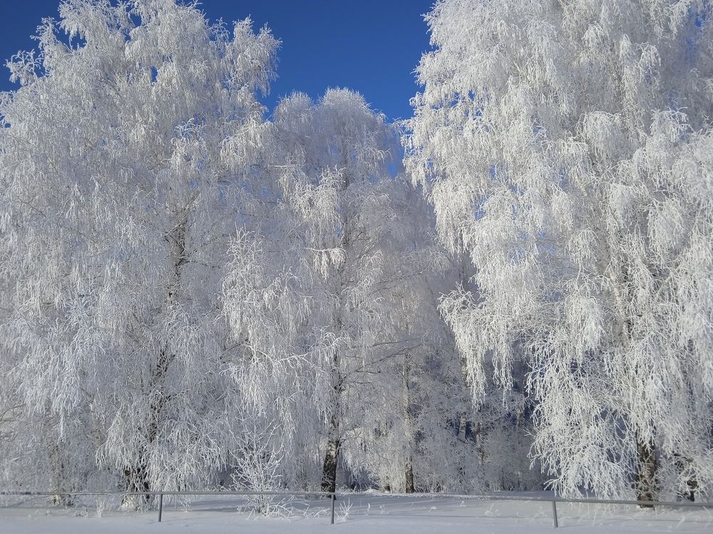 Photograph by Наталья Сорокина