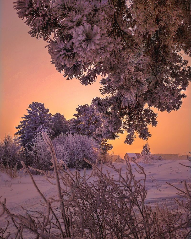 Сибирские морозы!