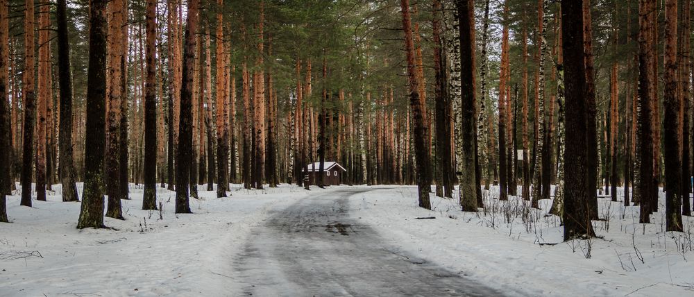 Photograph by Игорь Сидун