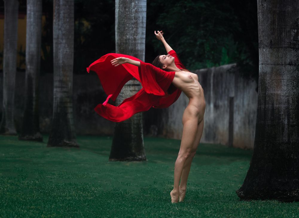 Photograph by  Ellis