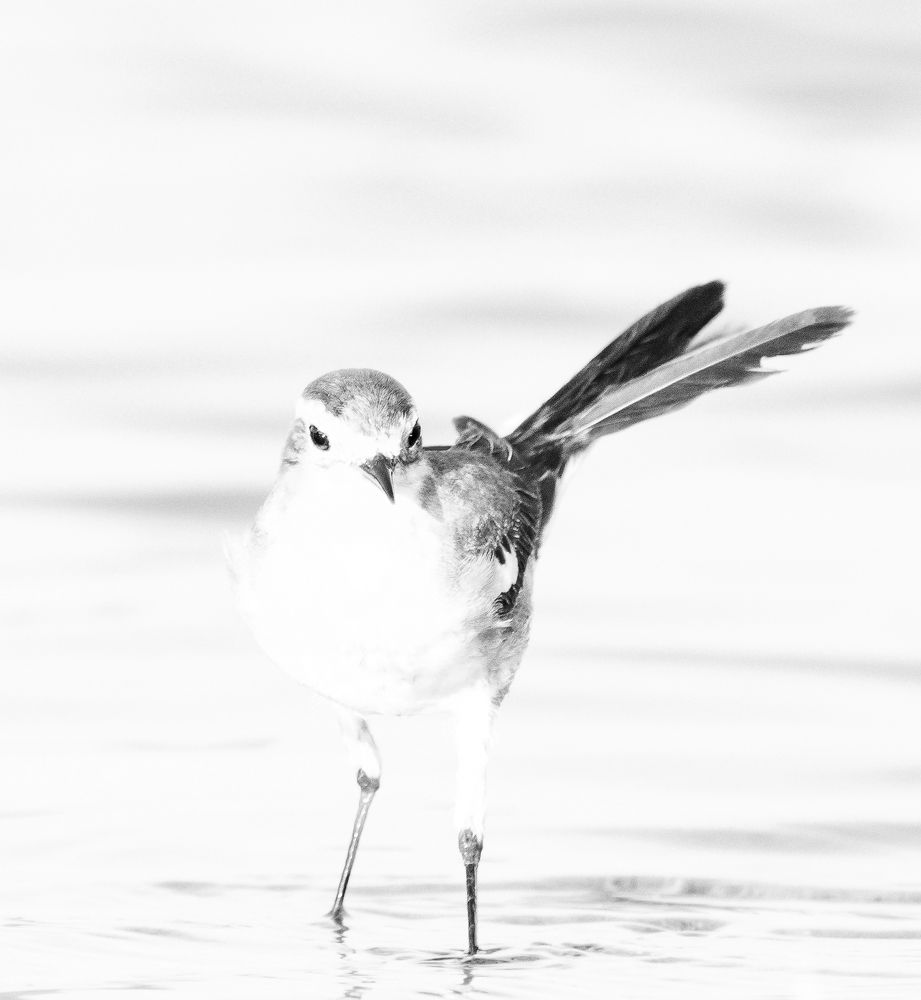 Photograph by Yuganthan Nallusamy