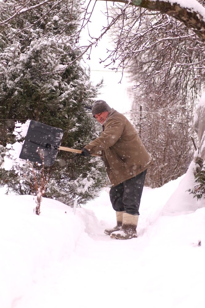 Photograph by Светлана Богомолова