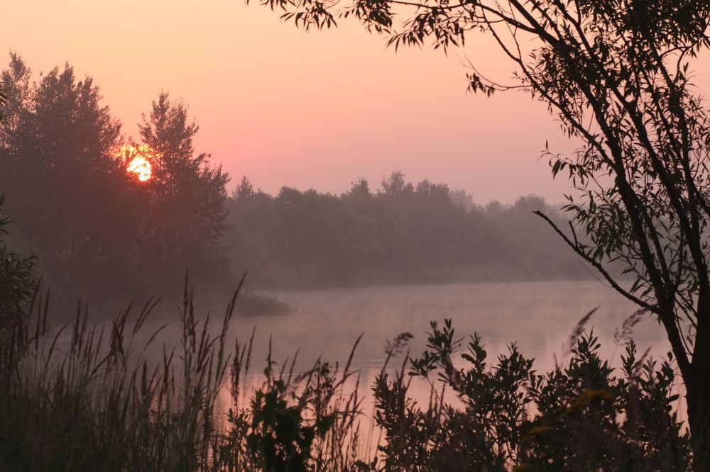 Photograph by Светлана Богомолова