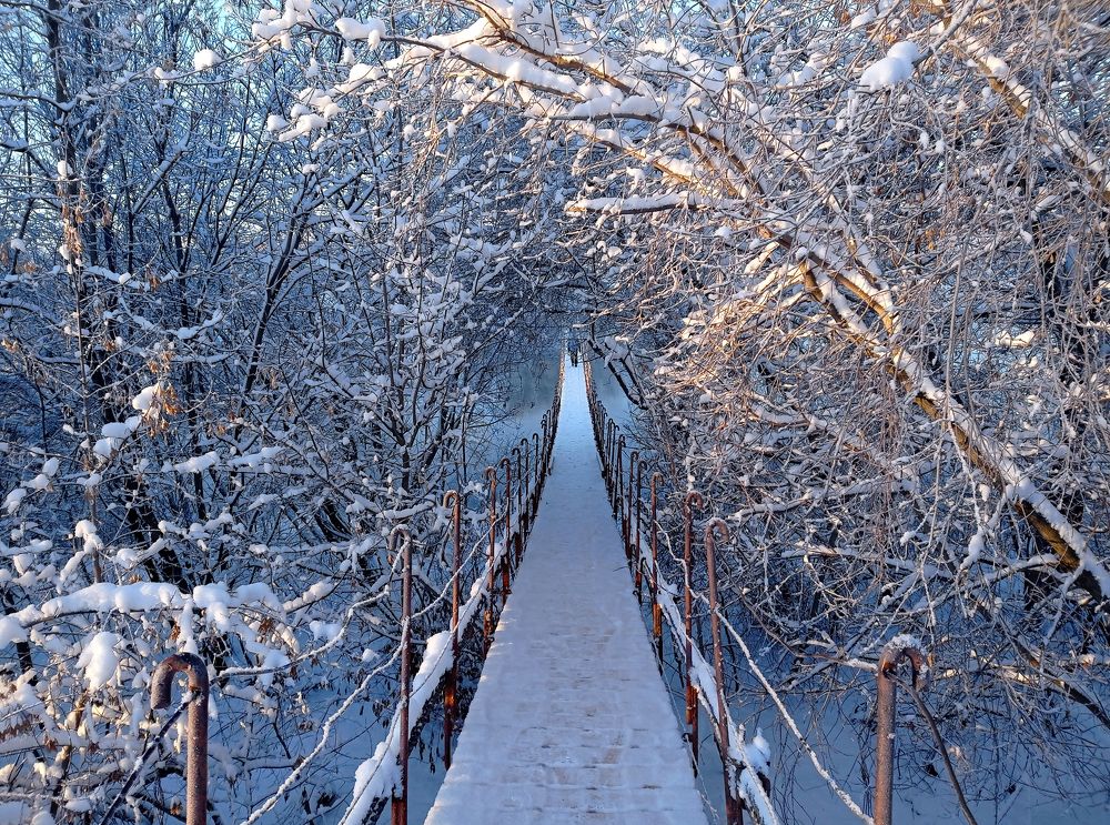Фотография автора Кухта Мария