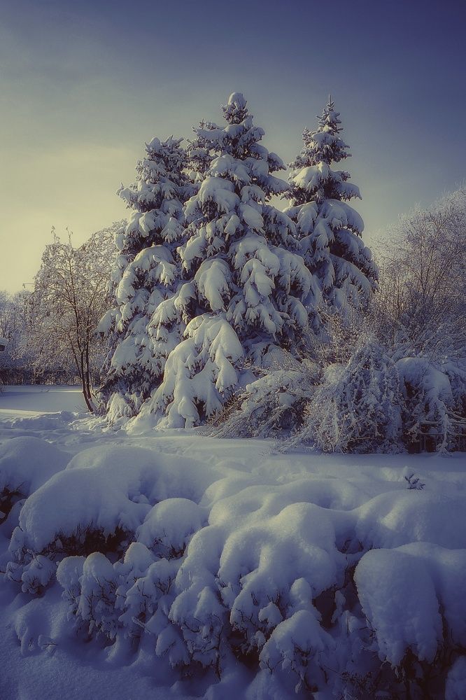 Photograph by Инга Сабанова