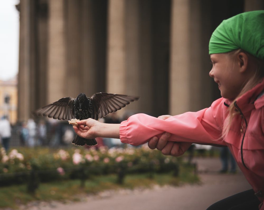 Photograph by Маргарита Дубаневич