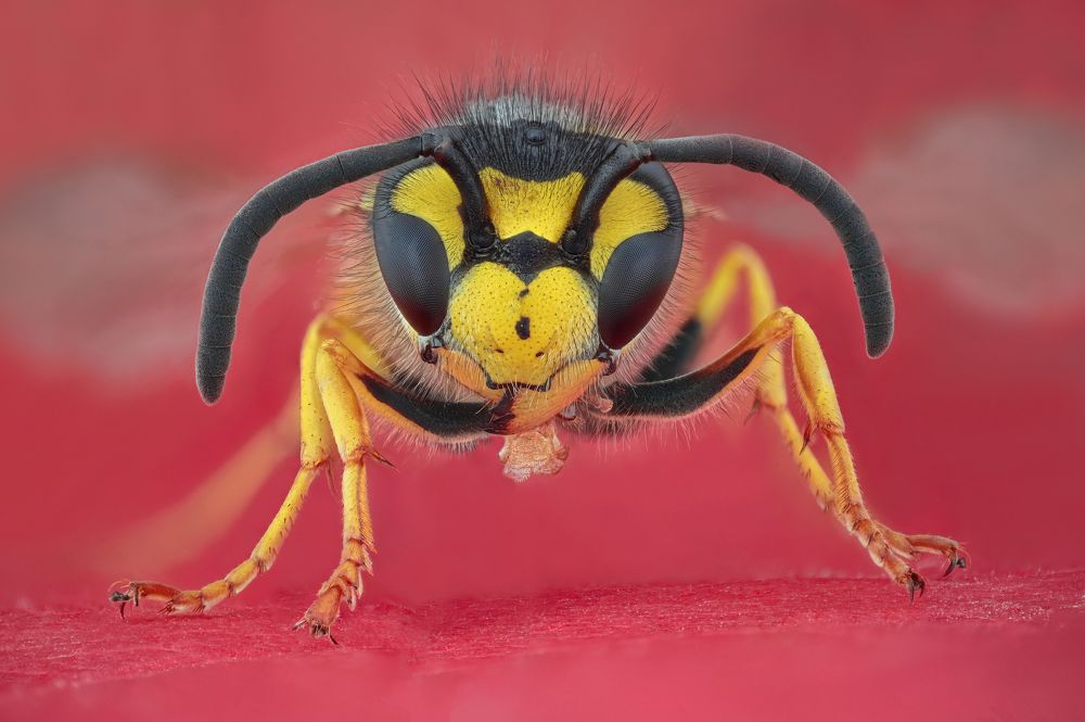 Photograph by Ganev Tsvetan