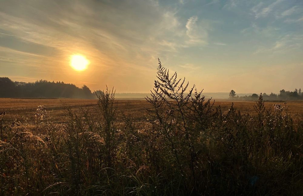 Photograph by Елена Одынец