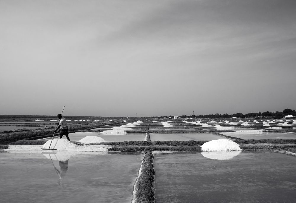 Photograph by Shyam Srinivas