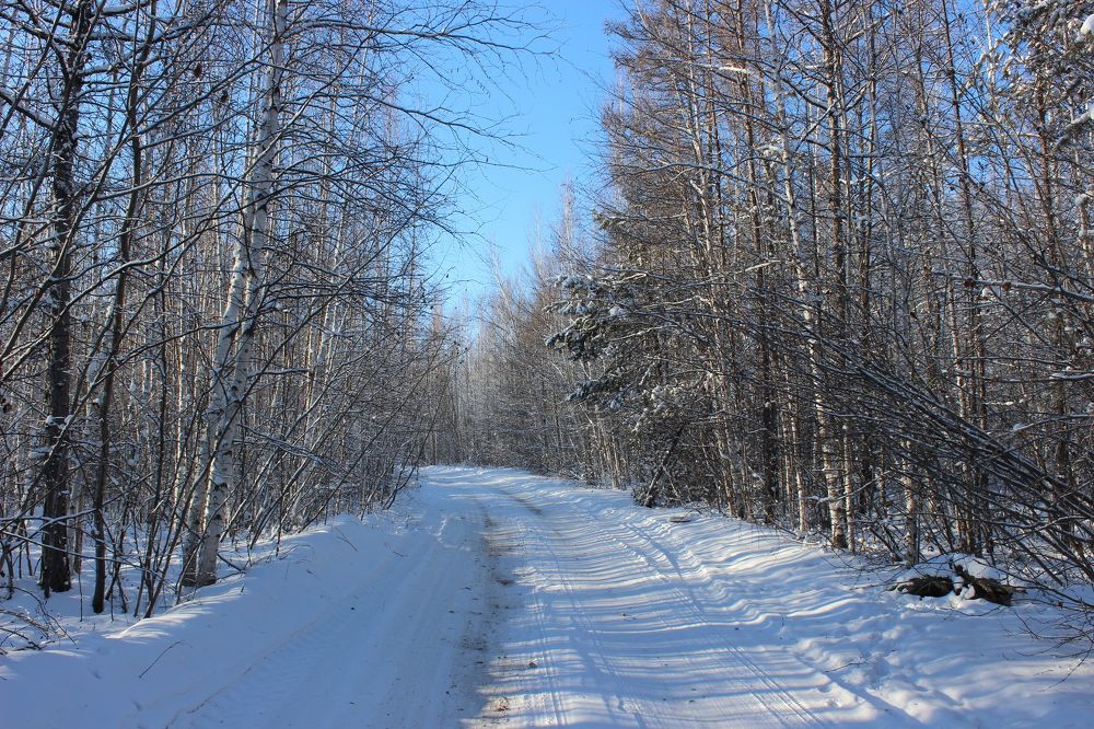 Photograph by Игорь