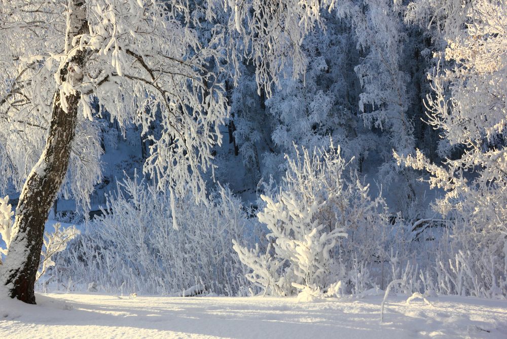 Фотография автора Кухта Мария