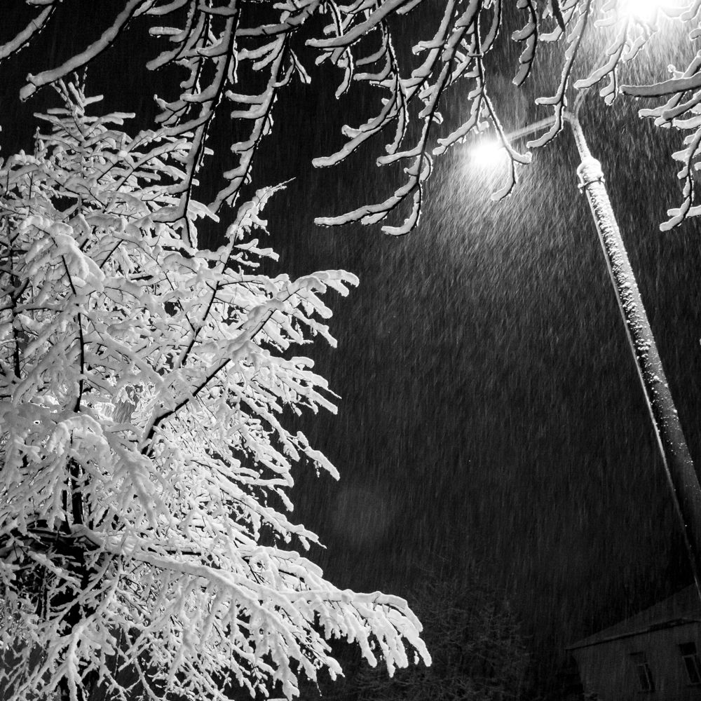 Движение - 7