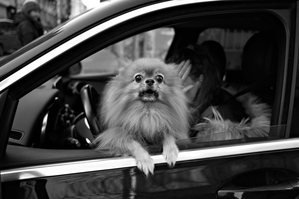 Photograph by Veska Saeva