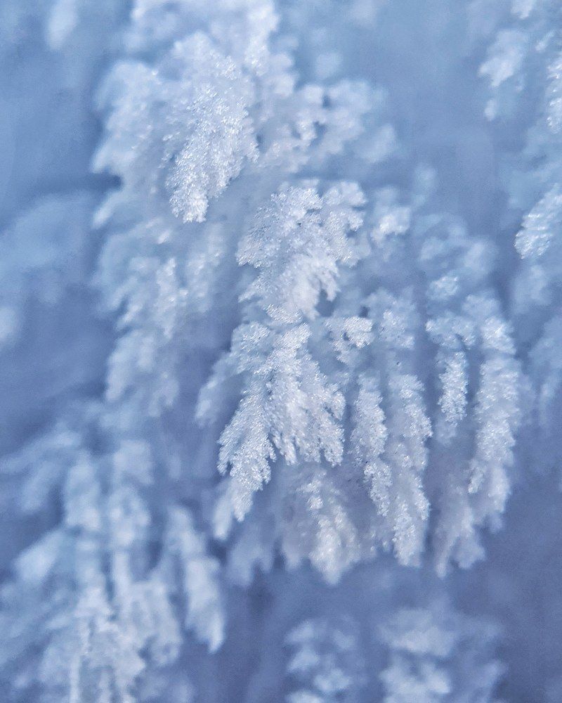 Photograph by Татьяна Мельникова