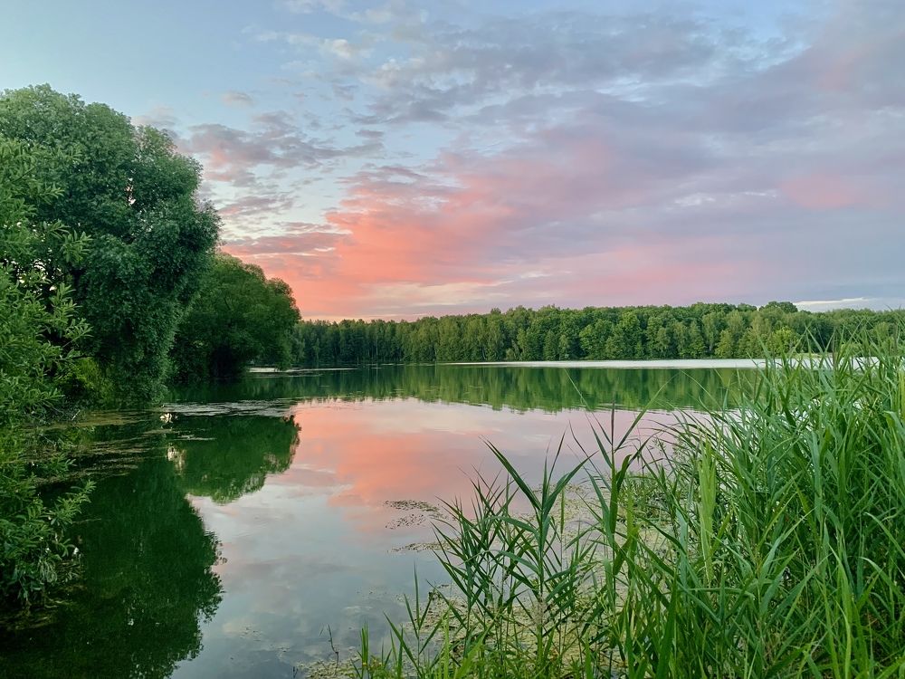 Photograph by Elena Lukashina