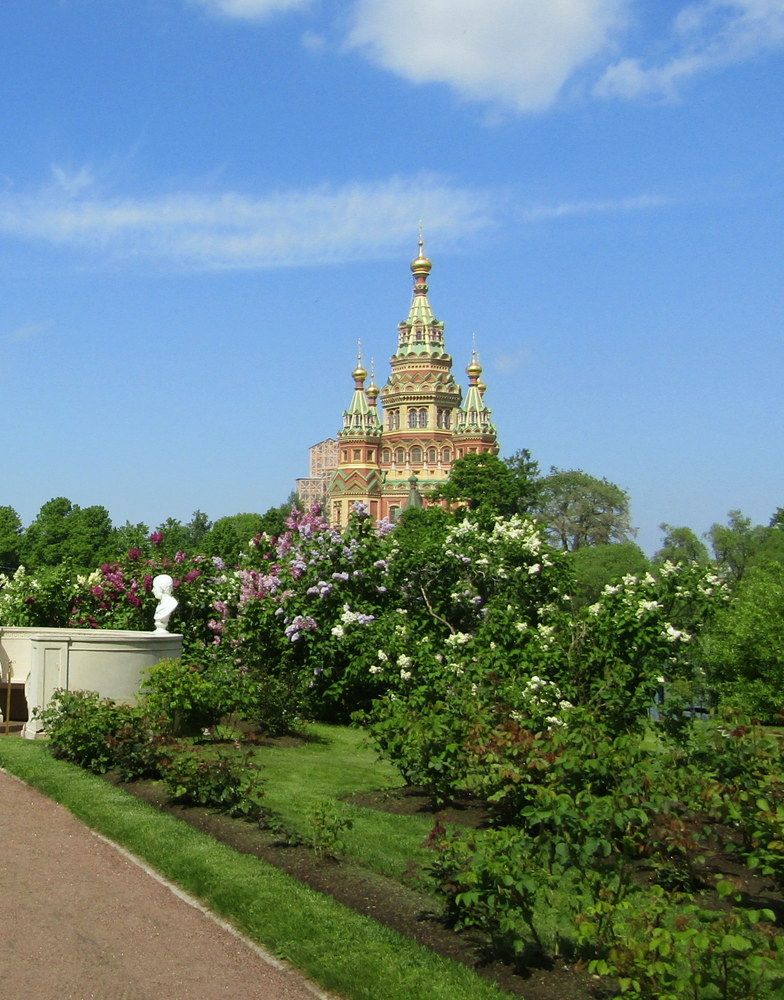 Петропавловский собор. Петергоф