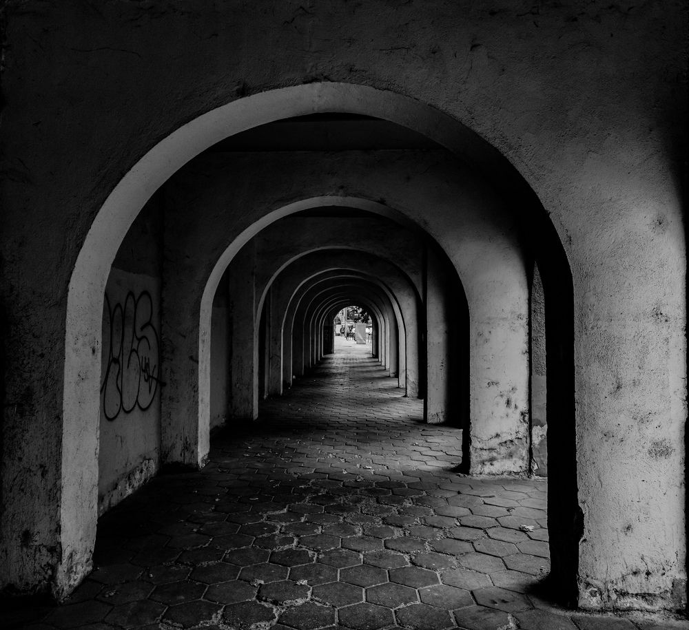 Photograph by Николай Драганов