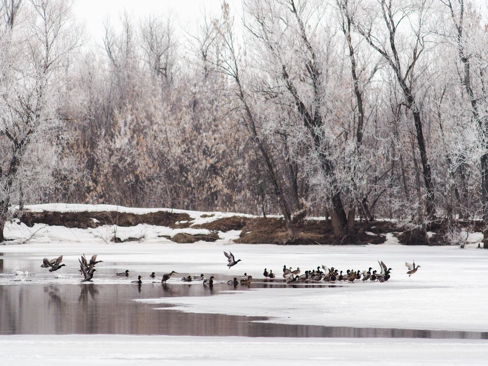Photograph by Светлана Шибаршина