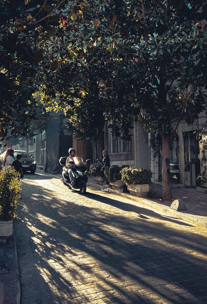 Photograph by Елена Миловидова