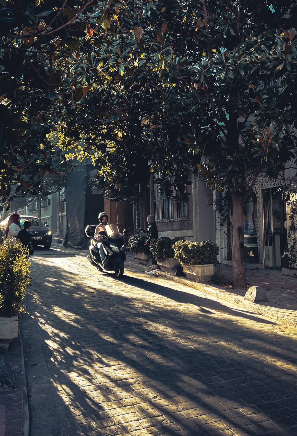 Photo #8584010