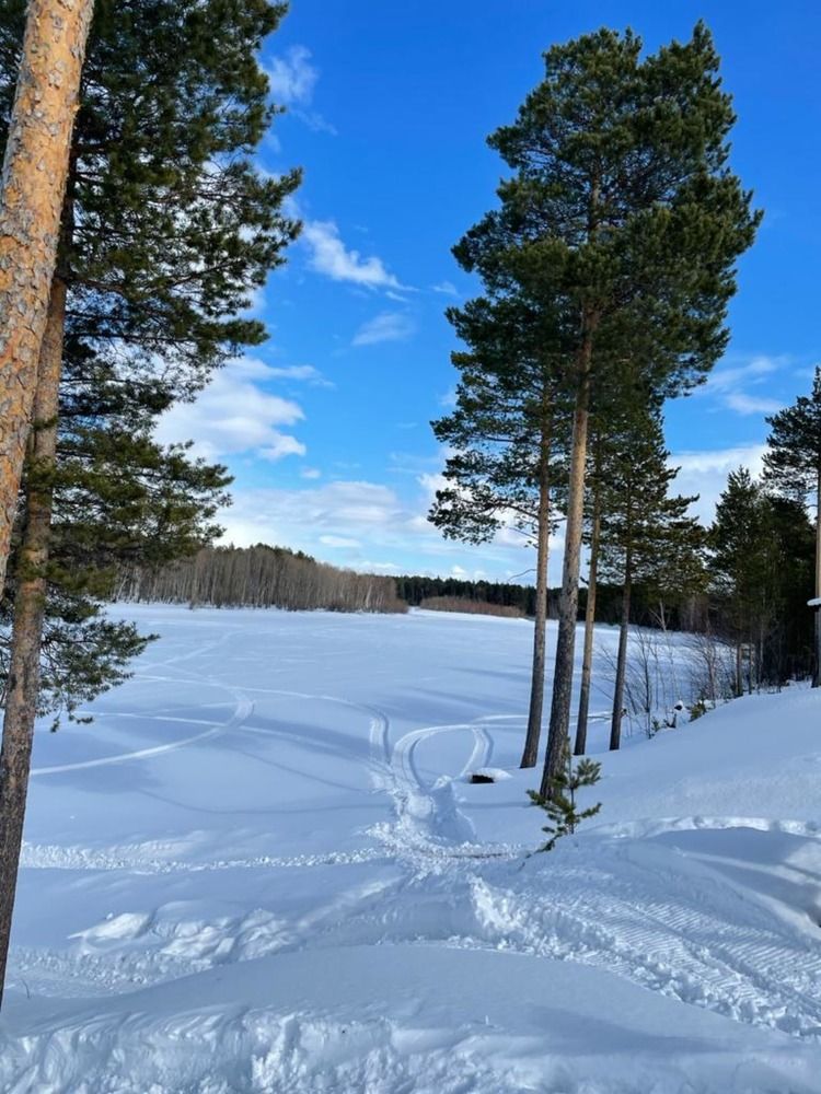 Photograph by Елена Мусина