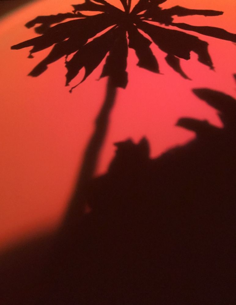 Photograph by Ольга Лазиева