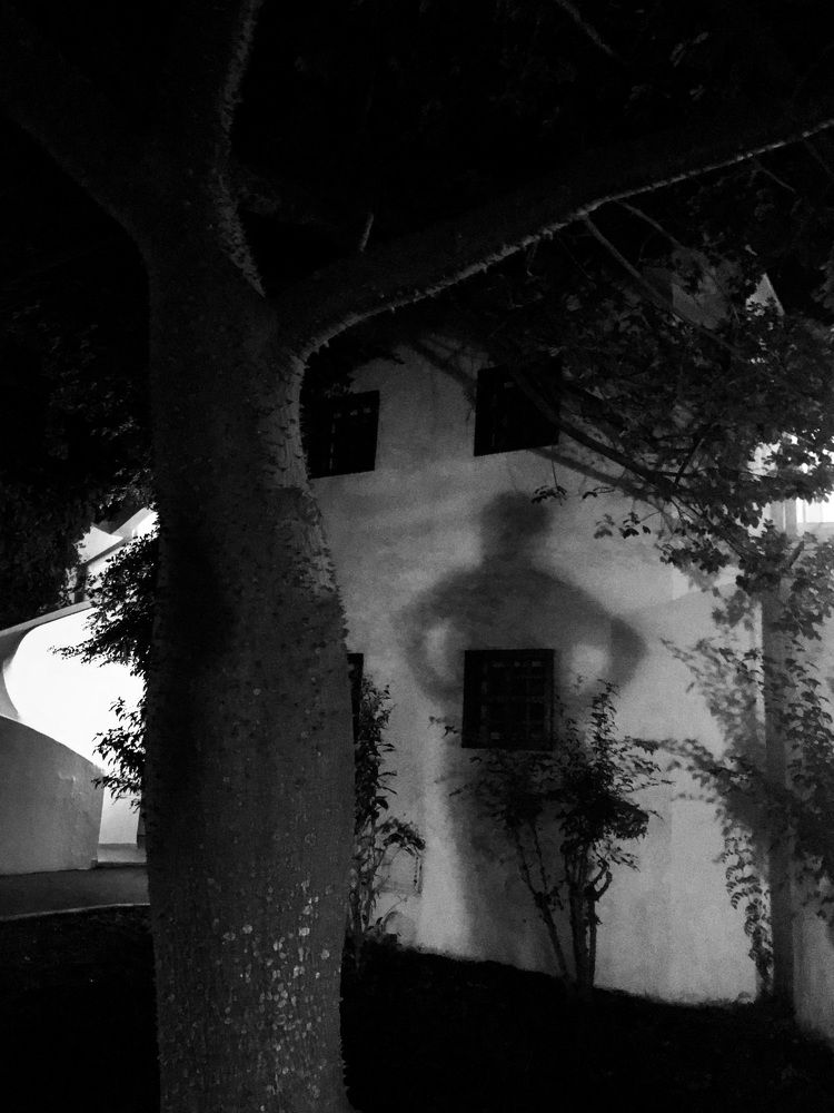 Photograph by Ольга Лазиева