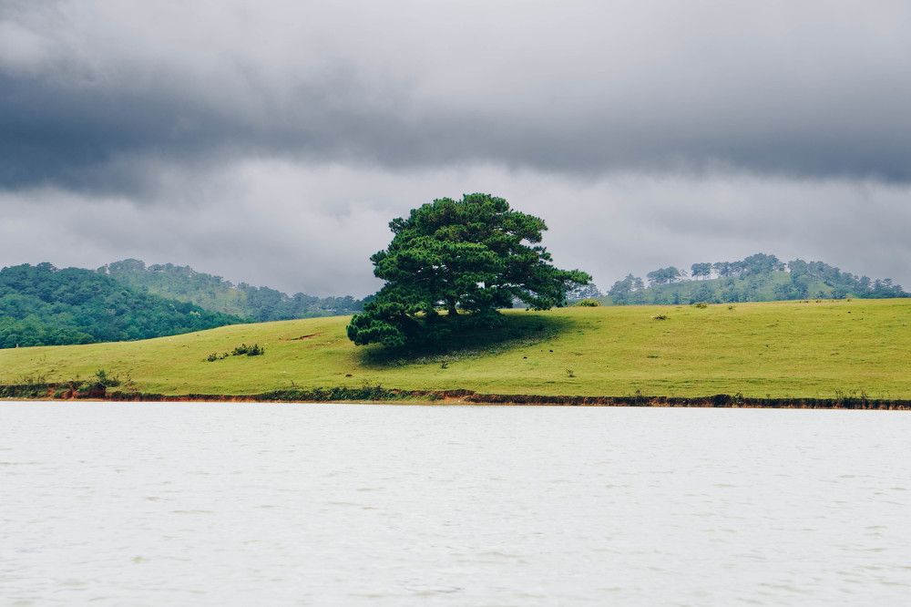 Photograph by NguyenKhoi Do