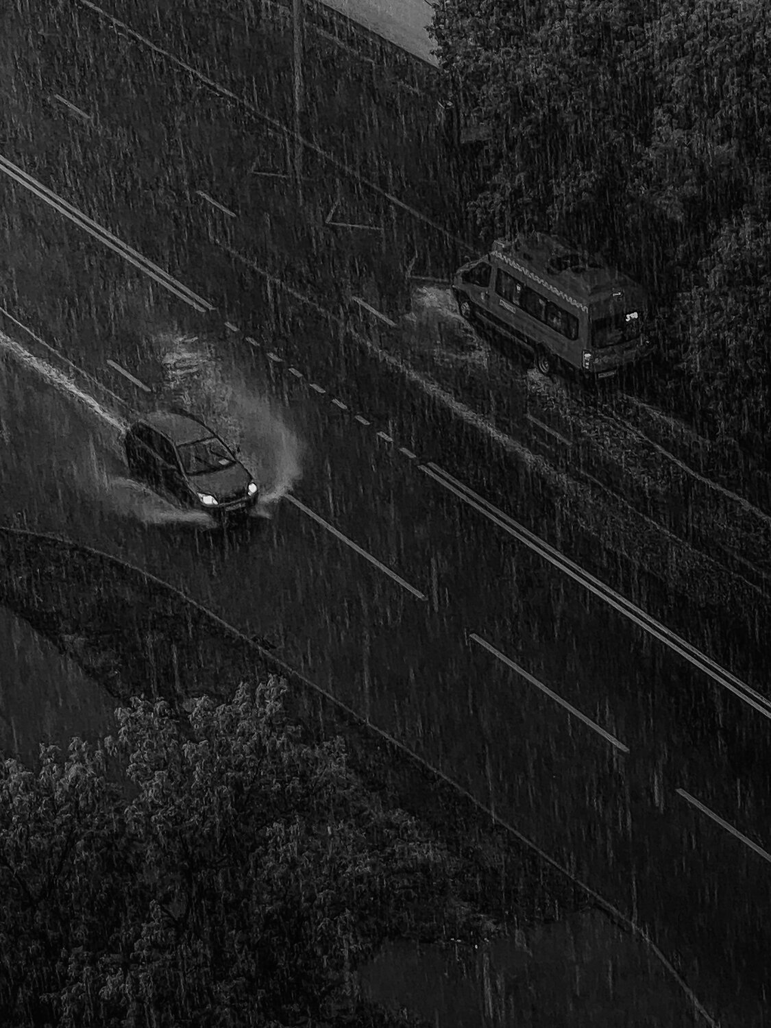 Photo #8584246