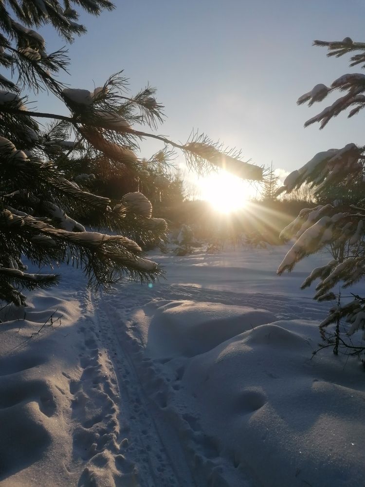 Photograph by Олег Россохин