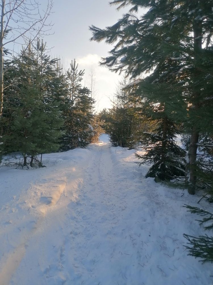 Photograph by Олег Россохин