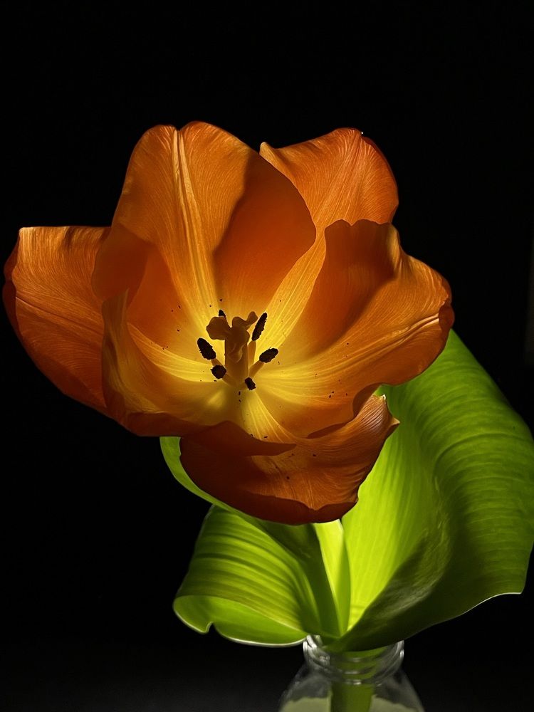 Photograph by Rita Gildman