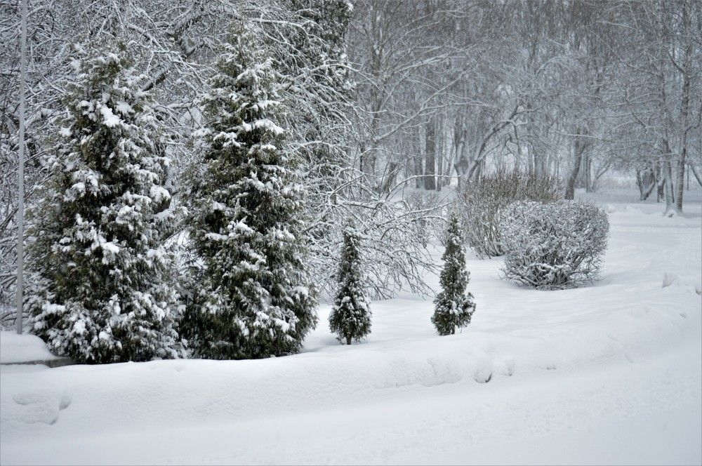 Photograph by Владимир Джерихов