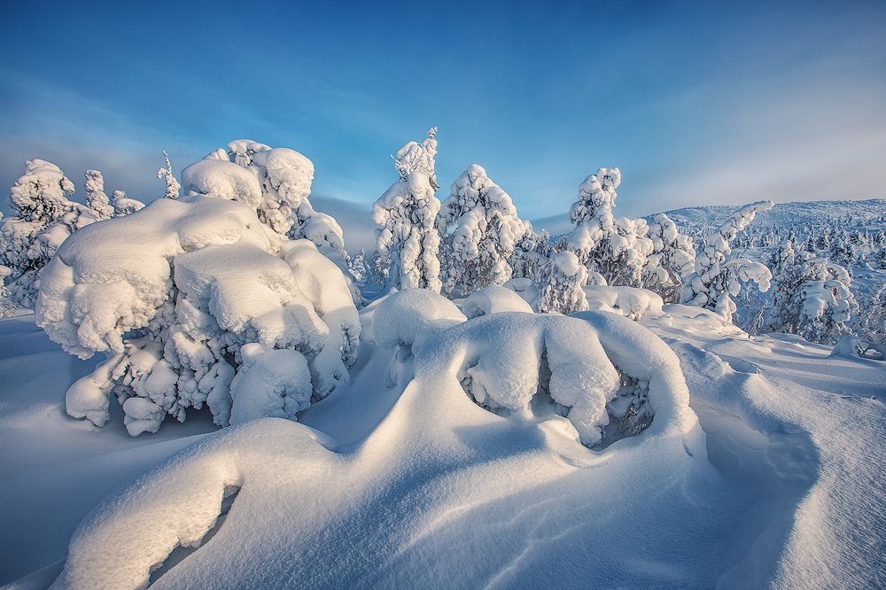 Photograph by Владимир Липецких