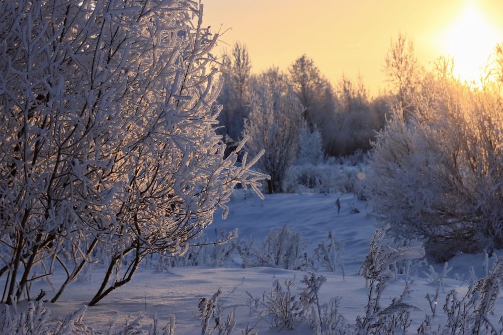 Photograph by Ирина Лисовец