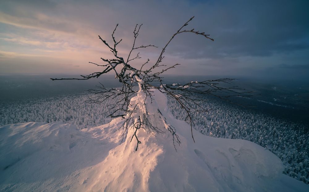 Photograph by Юрий Гаврилов