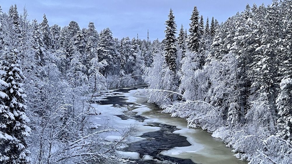 Фотография автора Юлия Шумейко