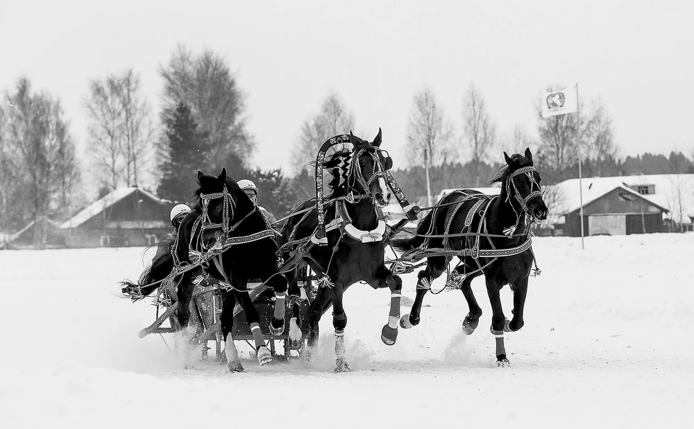 Photograph by Олег Чернышев