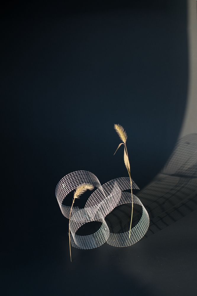 Фотография автора Светлана Бобошина