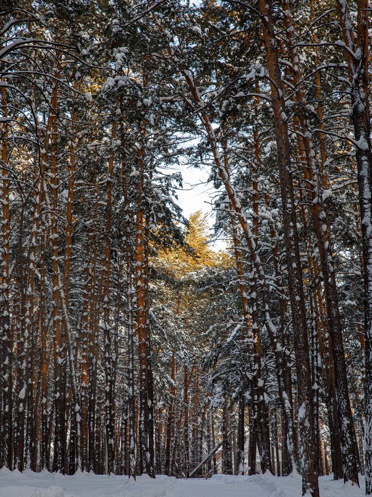 Photograph by Людмила Аксенова