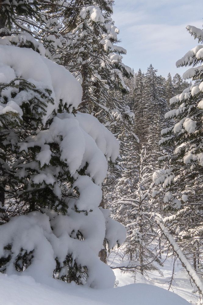 Фотография автора Марина Тирских