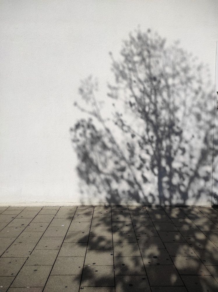 Photograph by Лейла Матар