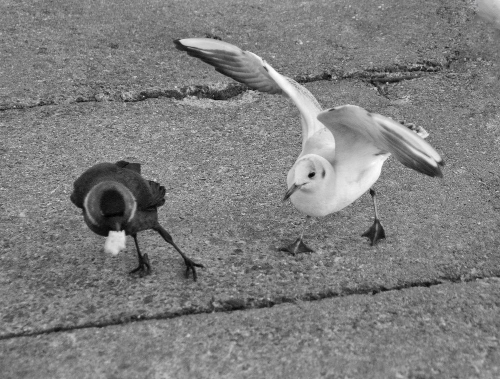 Photograph by Leanid Kulpo