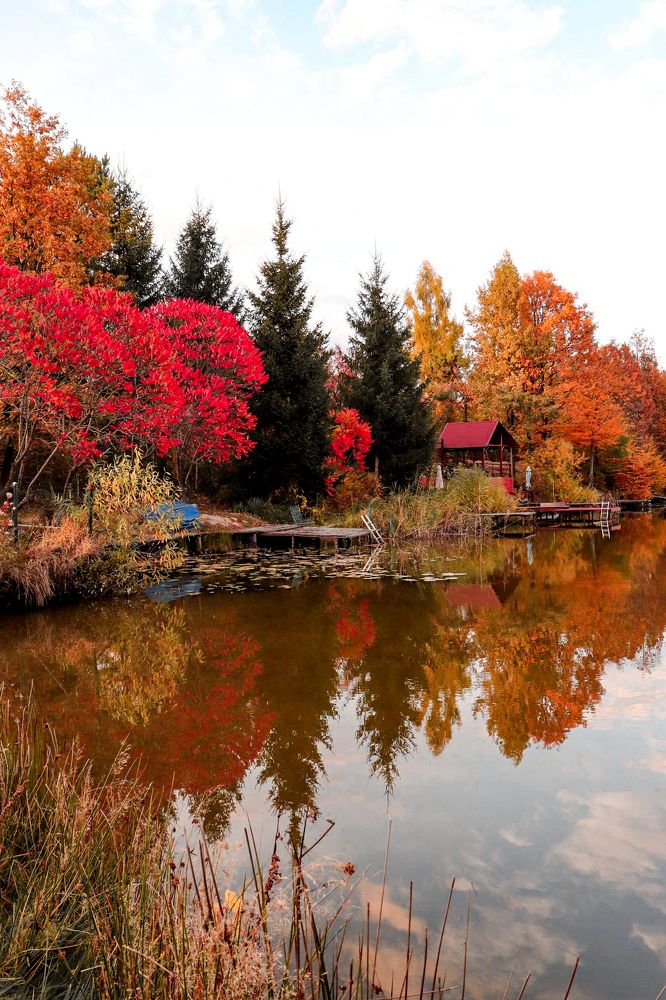 Photograph by Ch Ancuta