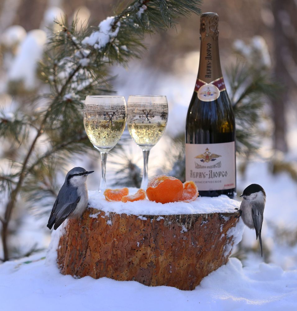 Photograph by Евгения Левина