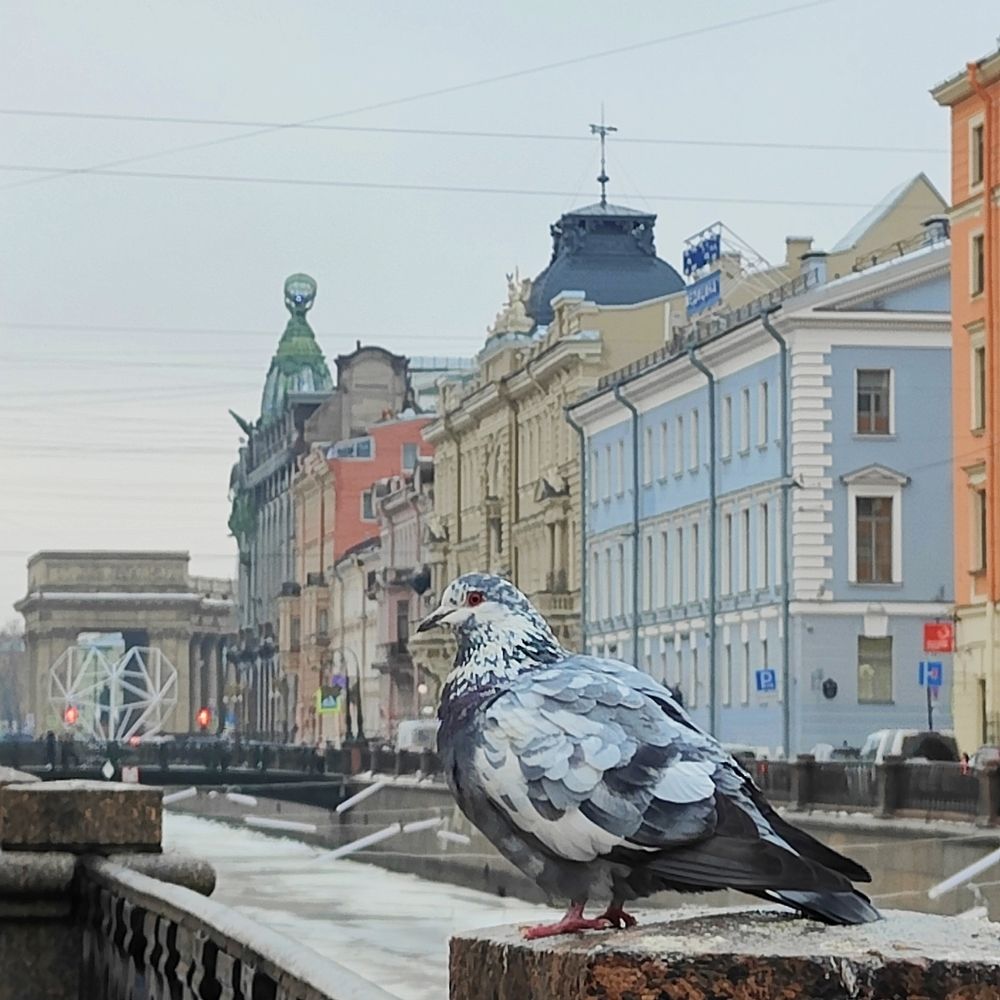 Photograph by Георгий Горшков